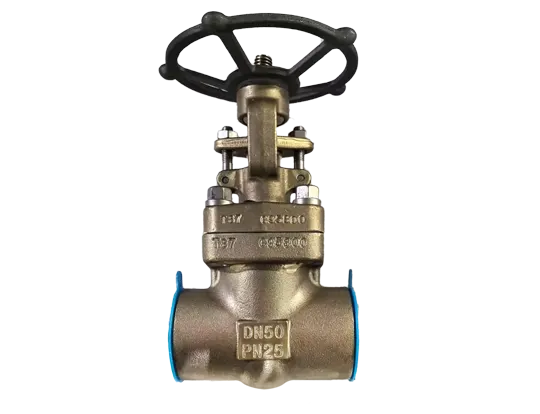 Apa yang Membuat Gate Valve Penting untuk Aplikasi Industri?